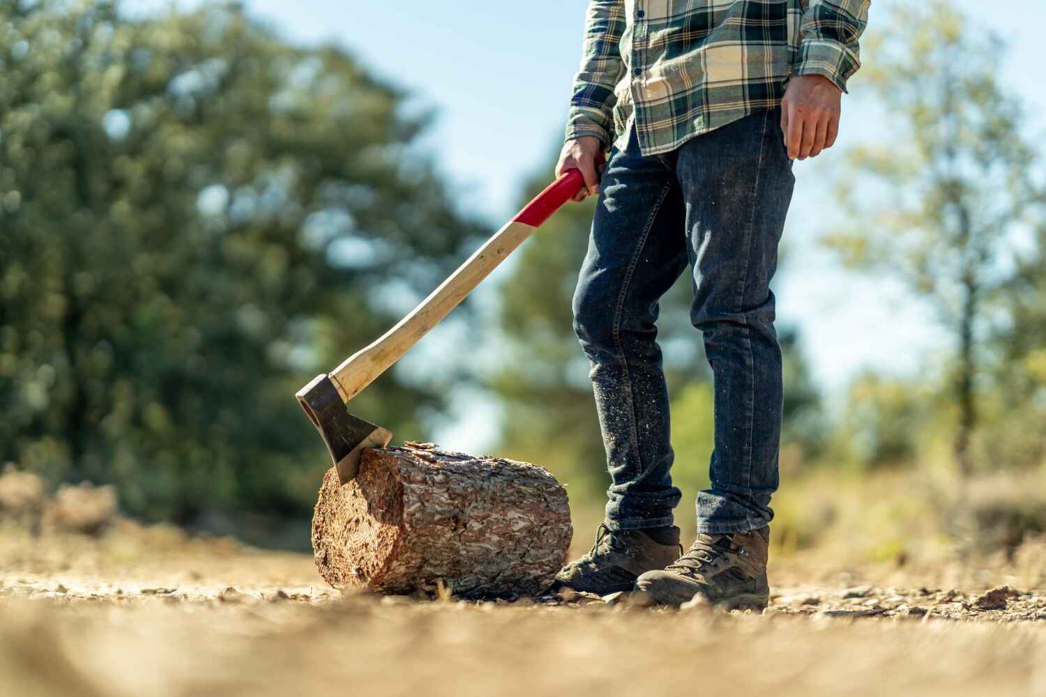 Best Large Tree Removal  in Janesville, WI